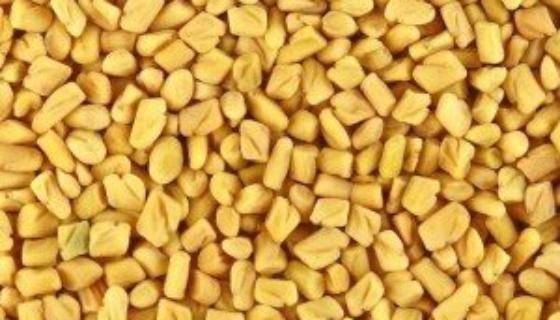 fenugreek